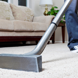 best-carpet-cleaning-services-in-doral-florida-shopping-guide