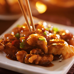best-chinese-food-restaurants-in-kendall-florida-shopping-guide